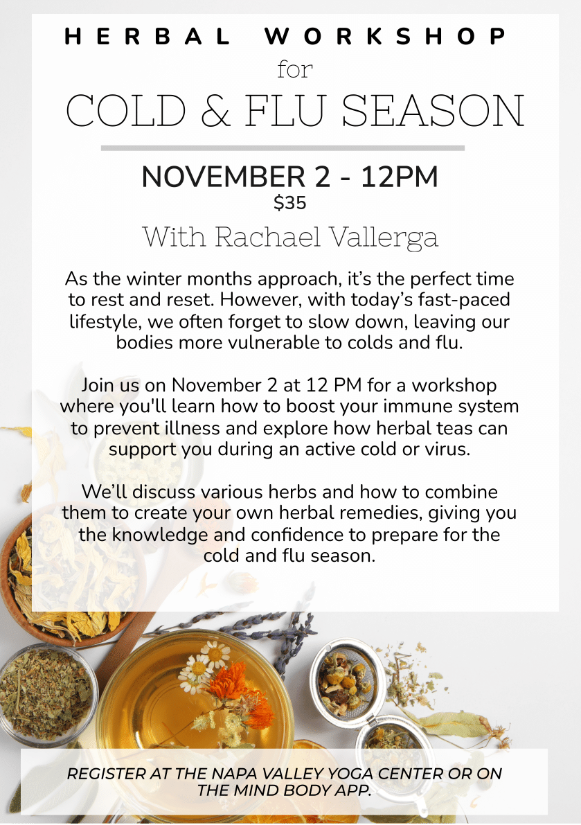 Flyer for an herbal workshop titled 'Herbal Workshop for Cold & Flu Season' with Rachael Vallerga. The event is scheduled for November 2 at 12 PM and costs $35. The flyer explains the importance of preparing for the winter months by boosting the immune system through herbal remedies and teas. Attendees will learn how to create their own herbal remedies to help prevent and treat colds and flu. Registration is available at the Napa Valley Yoga Center or through the MindBody app. The flyer features images of various herbs and teas at the bottom.