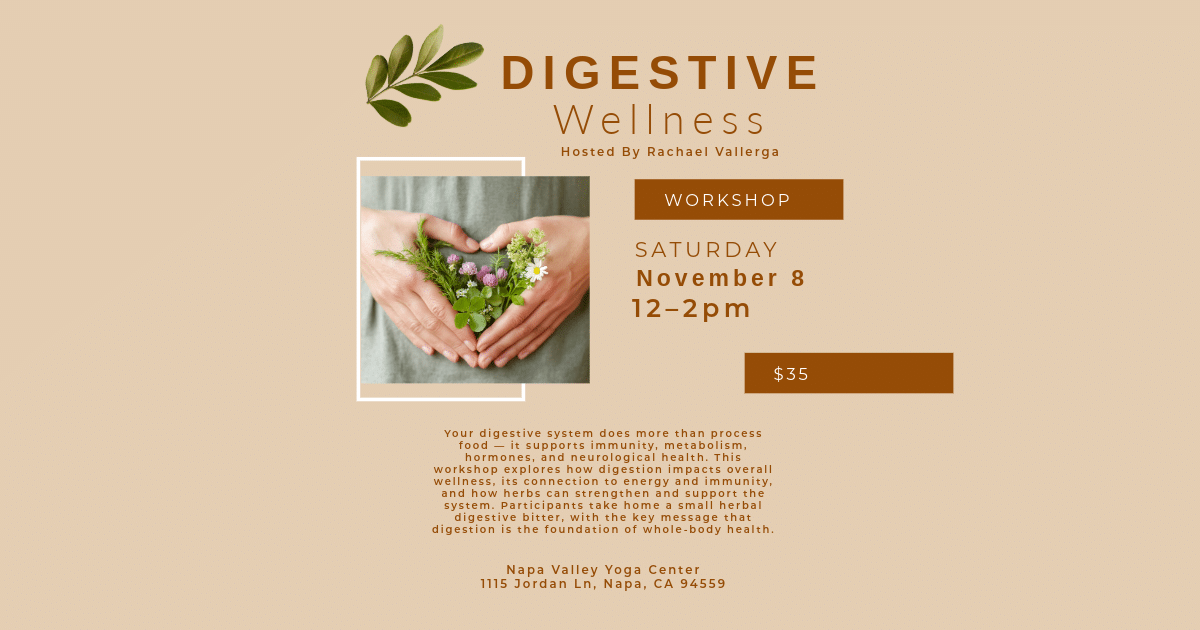 Join us for the Digestive Wellness Workshop at Napa Valley Yoga Center, hosted by Rachael Vallerga. Flyer